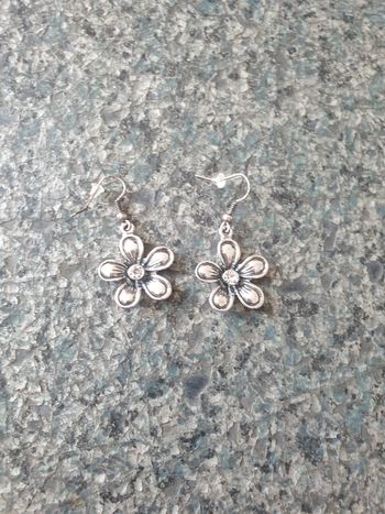 Boucles d'oreilles argente