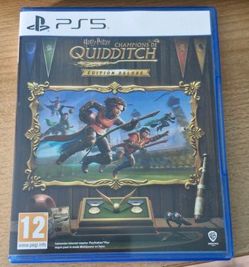 Jeu Quidditch champion