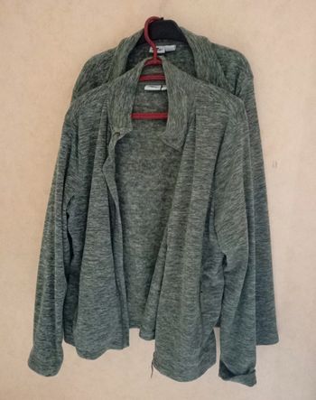 Vestes polaire fine gris clair