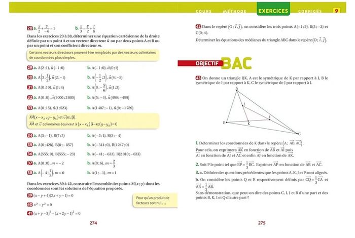 Lot de livres Prépabac 1ere S - photo numéro 3