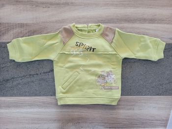 Pull - kitiwatt 9 mois