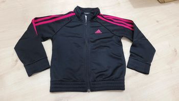 Veste sport