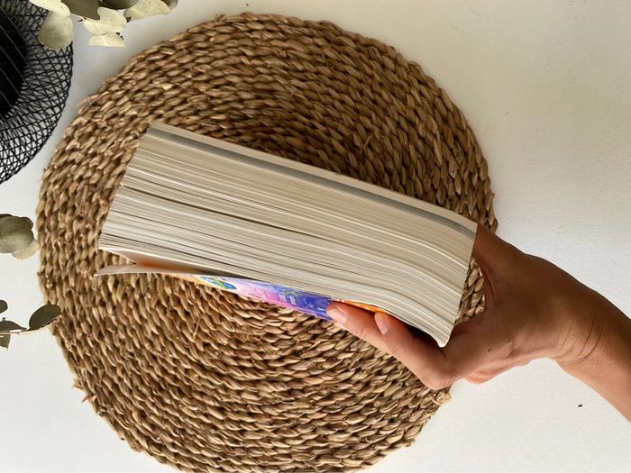 Dictionnaire Larousse maxi poche - photo numéro 3