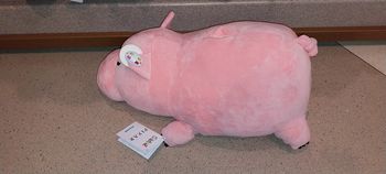 Pick-up Bayonne cuddleez Disney