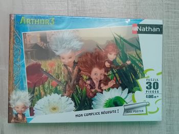 Puzzle Arthur et les Minimoys Nathan