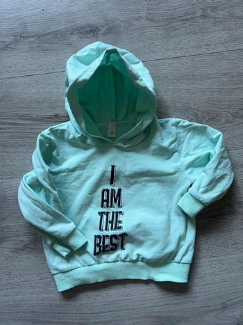 Pull à capuche pastel