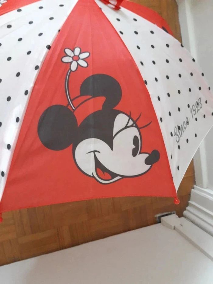 Parapluie Minnie orchestra since 1928 - photo numéro 4