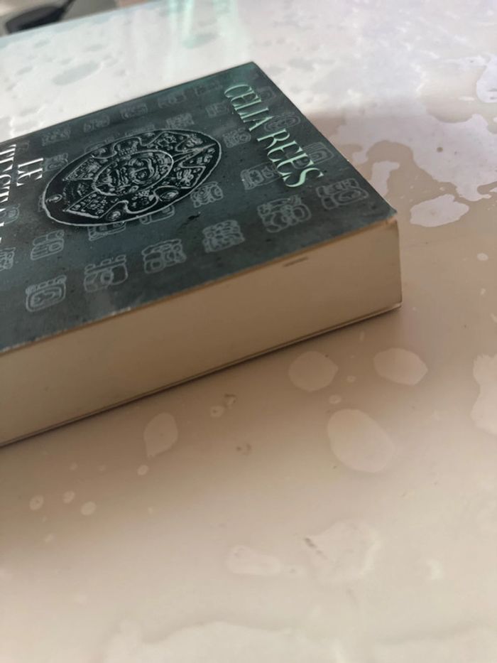 Livre le testament de stone - Celia rees - photo numéro 4