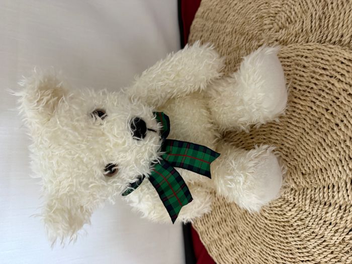 Lapin blanc peluche avec ruban eden