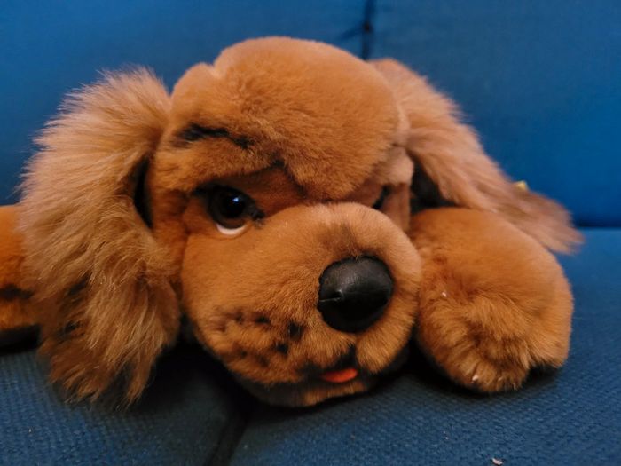 RARE Peluche ancienne Chien couché collier Steiff doudou brun marron langue collection 40cm