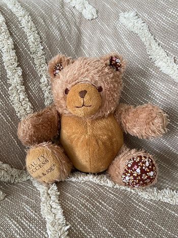 Peluche doudou 20cm Paul et Joe ours marron à fleur très bon état