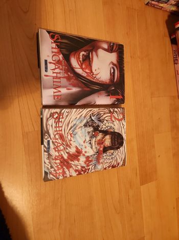 Shigahime tome 1 et 2