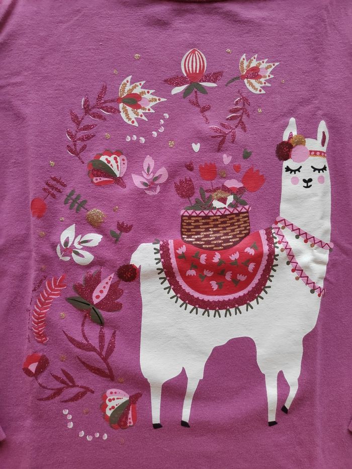 T-shirt manches longues lama DPAM 5 ans - photo numéro 2