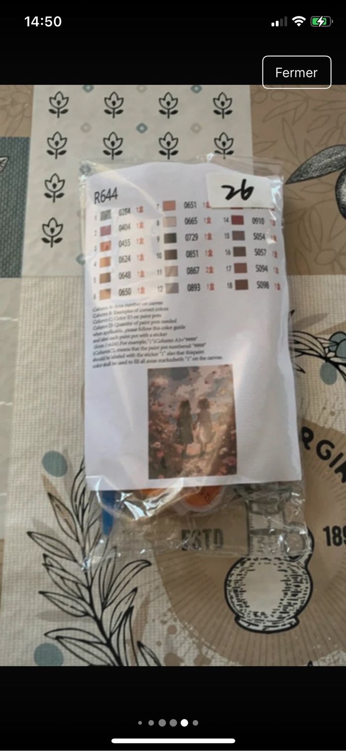 Kit complet de peinture par numéro - Neuf - photo numéro 5