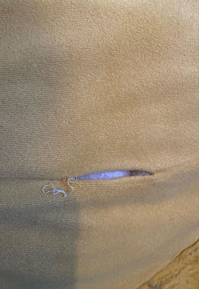 Siège Tigre - photo numéro 4