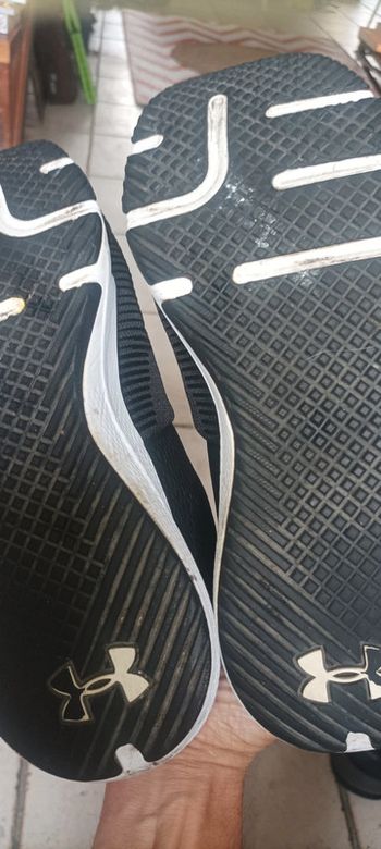 Basket fitness homme