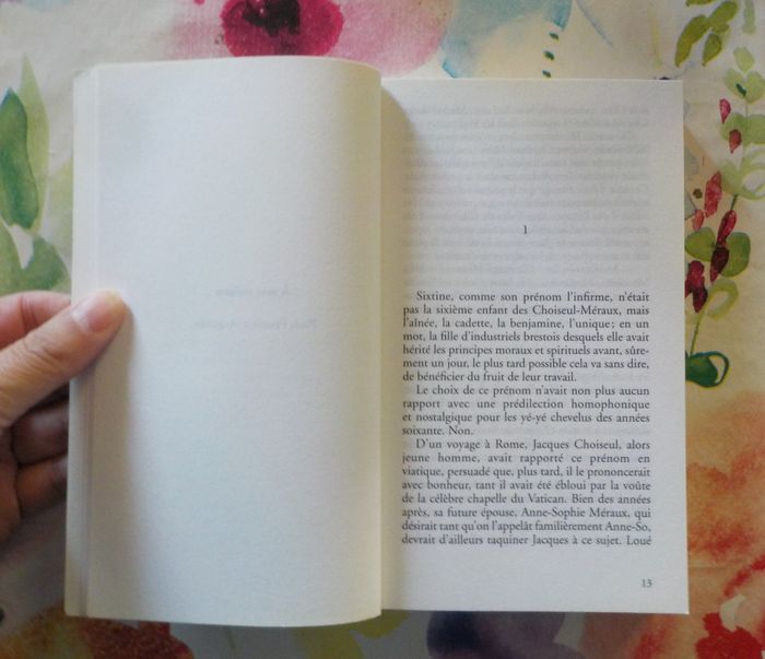 LES AMES TORSES de Françoise LE MER Ed. Palémon - photo numéro 5