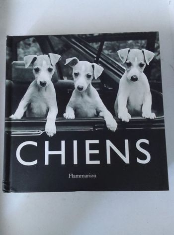 Chiens
