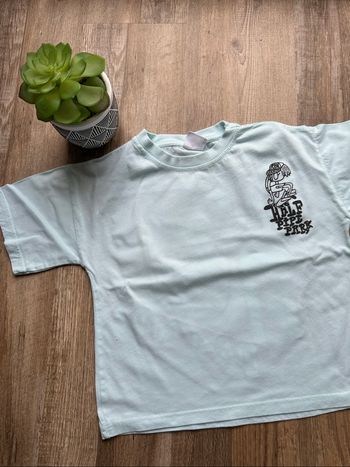 - Tee shirt Zara  - 5 ans - Très bon état