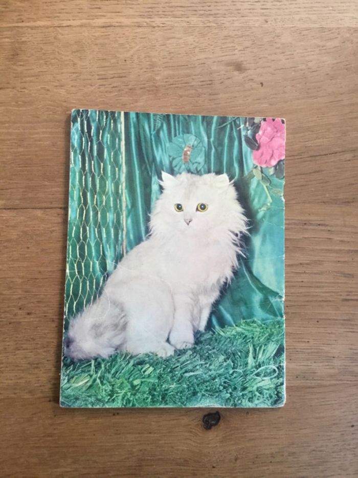 Livre « minet et toutou » - photo numéro 2