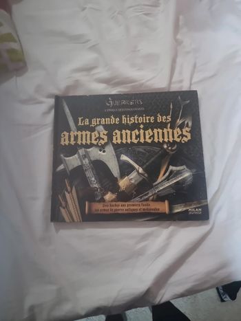 La grande histoire des armes anciennes