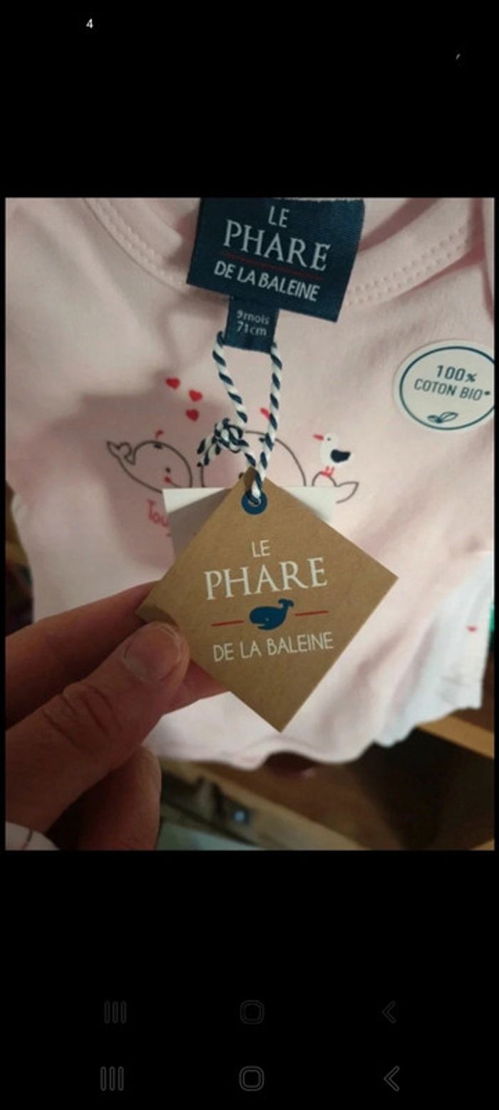 Lot 4 bodys + 1 dors bien en coton bio 6 mois - photo numéro 11