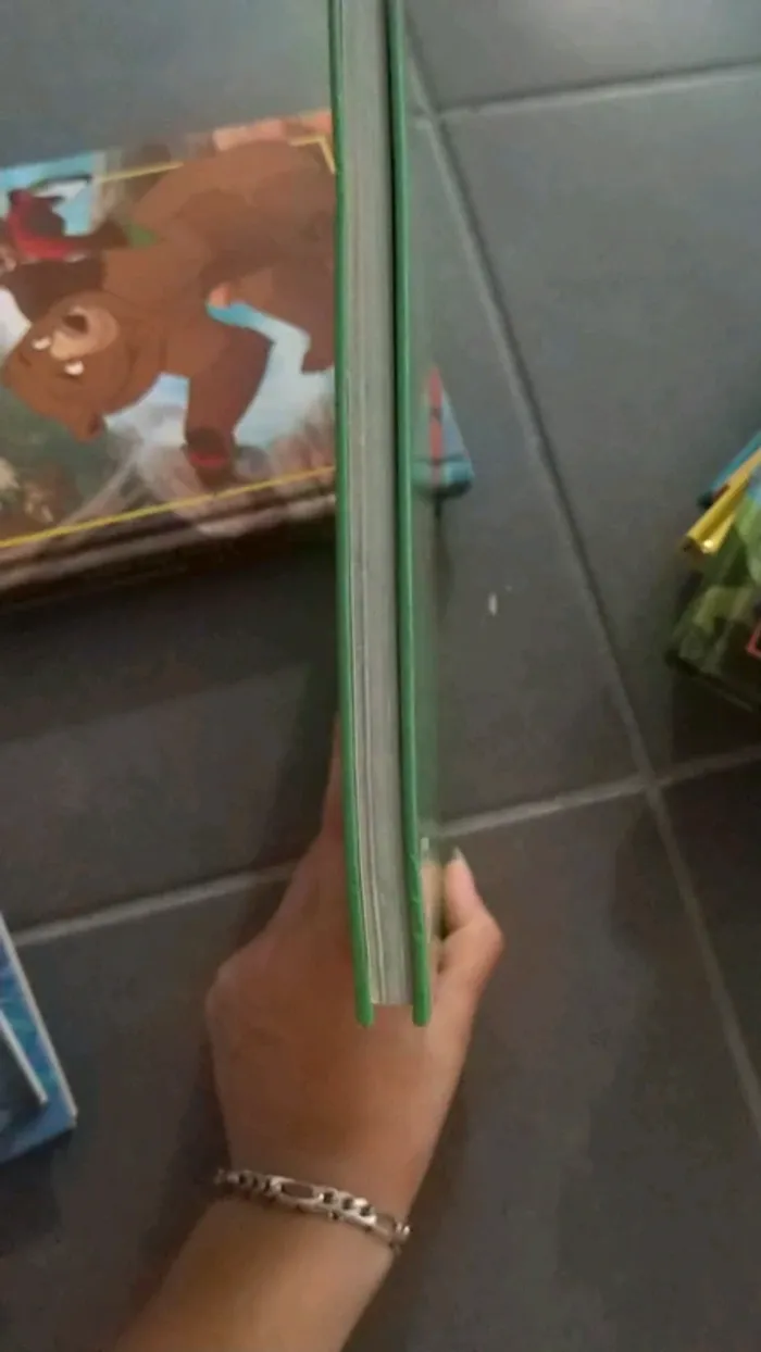 Lot de livres Disney - photo numéro 7