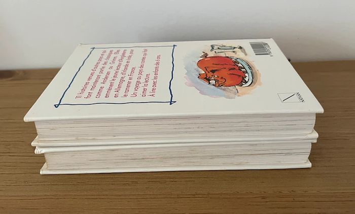 Lot 2 livres - Histoires à raconter - photo numéro 4