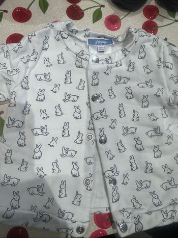 Gilet jacadi lapin