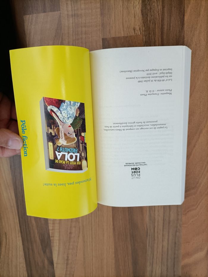 Livre ado - Où est passé Lola Frizmuth? - photo numéro 6