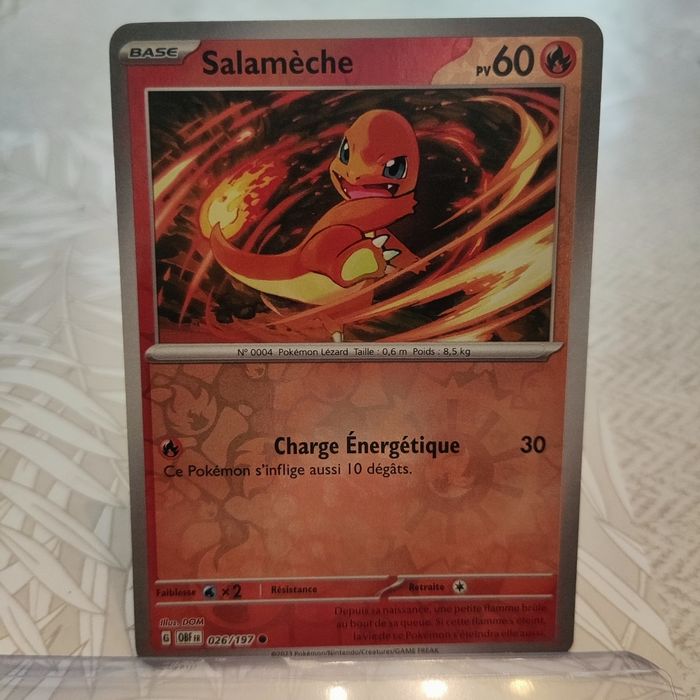 Pokémon Salamèche