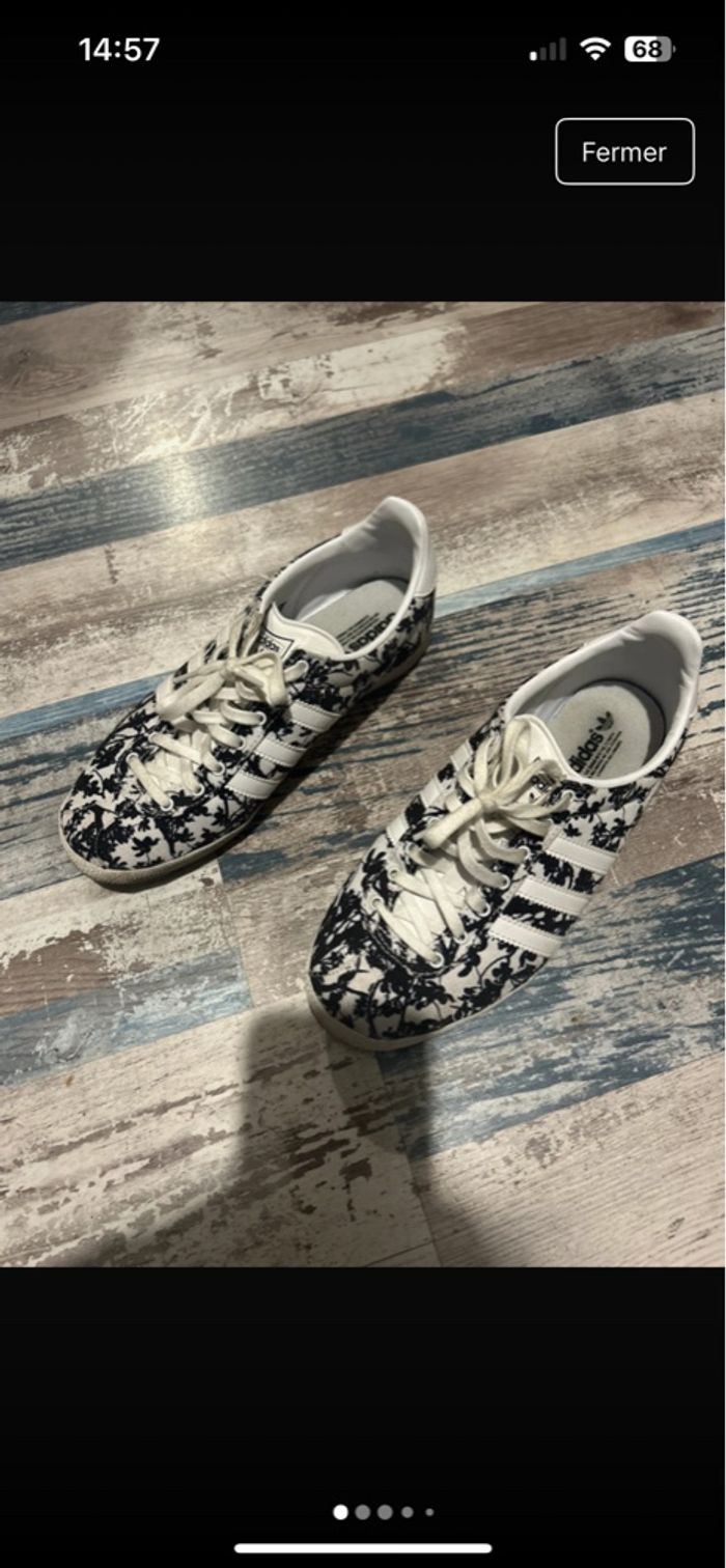 Gazelle - photo numéro 4