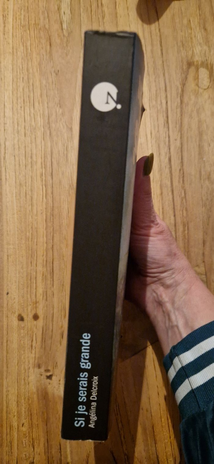 Roman policier thriller "quand je serais grande " - photo numéro 3