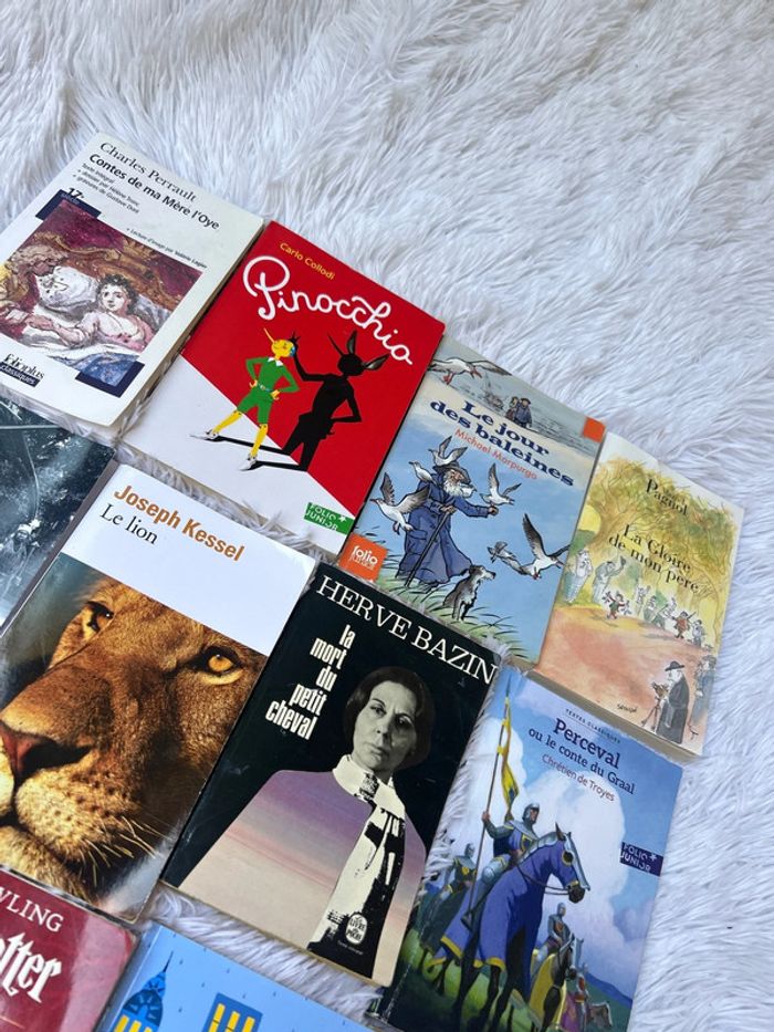 Lot de livres classique, collège et lycée - photo numéro 4