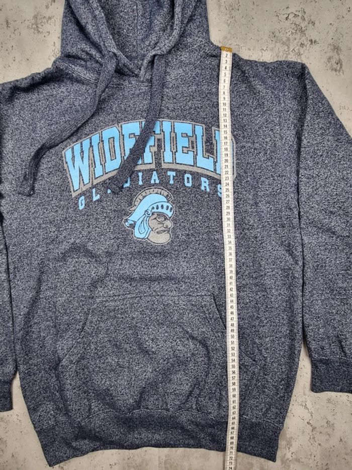 Pull capuche universitaire bleu/gris, M Hommes - photo numéro 6