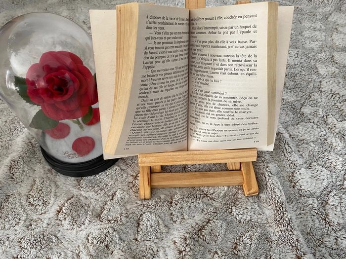 Livre et si c’était vrai de Marc Levy - photo numéro 5