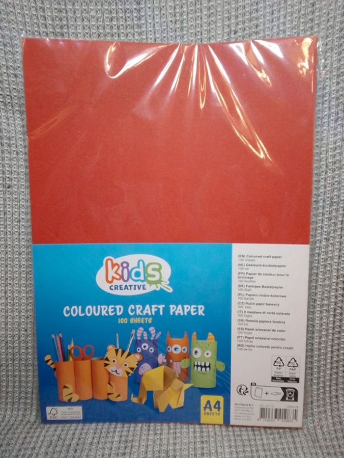 Papier de couleur A4 multicolore x100