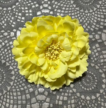 Pince à cheveux neuve