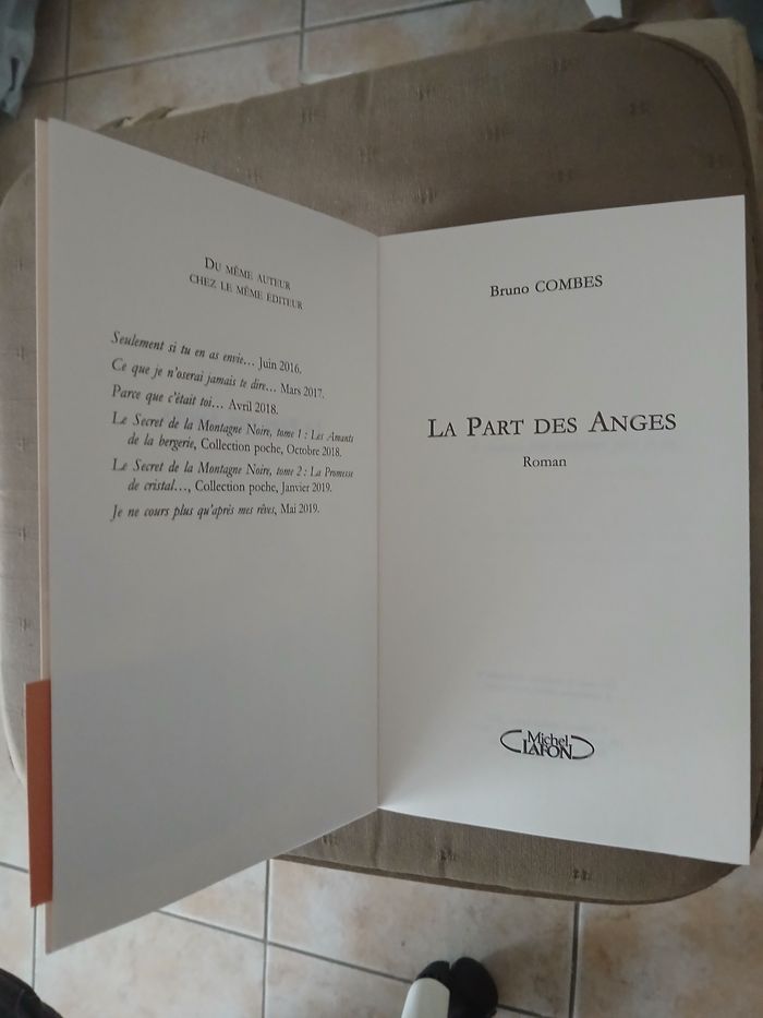 Roman B.Combes. - photo numéro 3