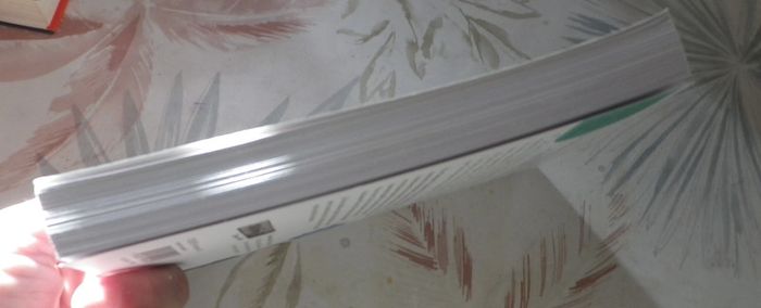 Le Journal de Moi.. Papa par Benjamin Buhot et Fred Corre Montagu - photo numéro 4