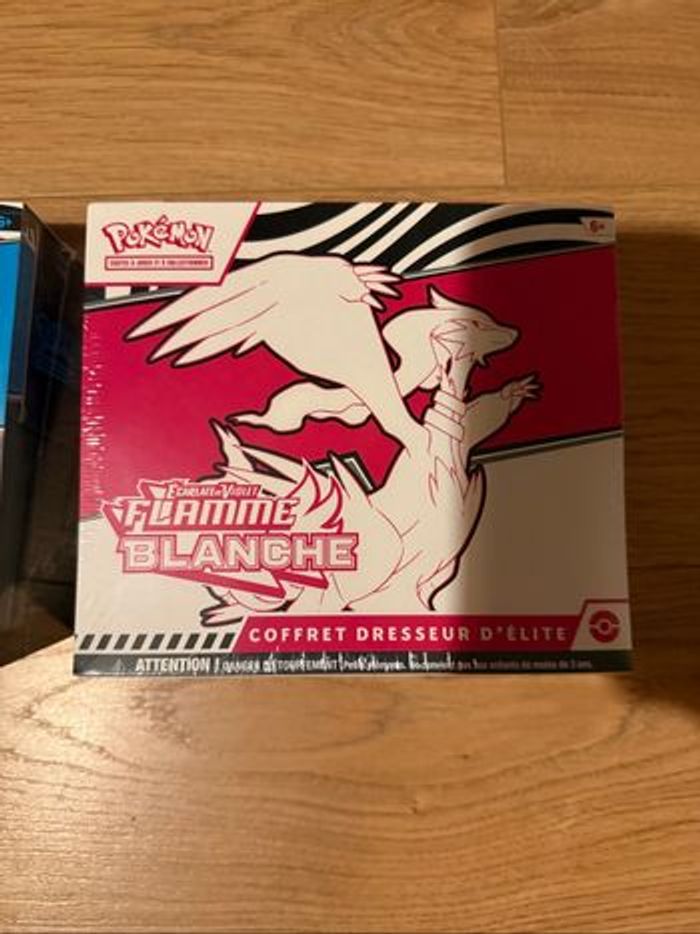 pokémon duo etb flamme blanche et foudre noir ev10.5 - photo numéro 3