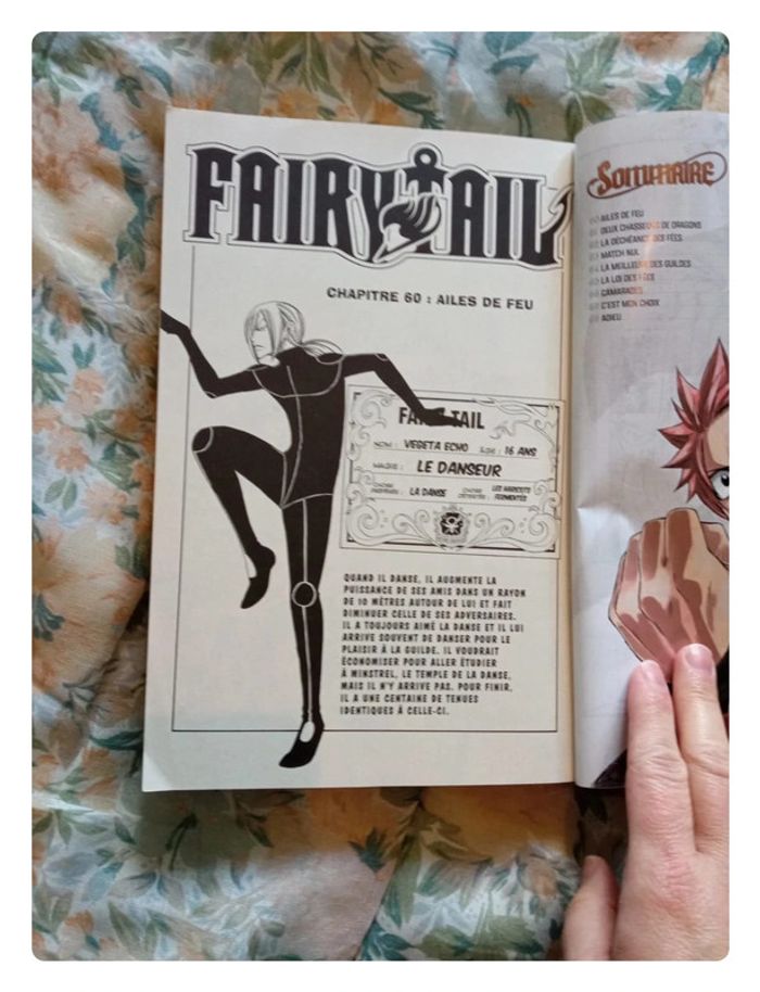 Mangas fairy taille l'intégrale tome 5 - photo numéro 9