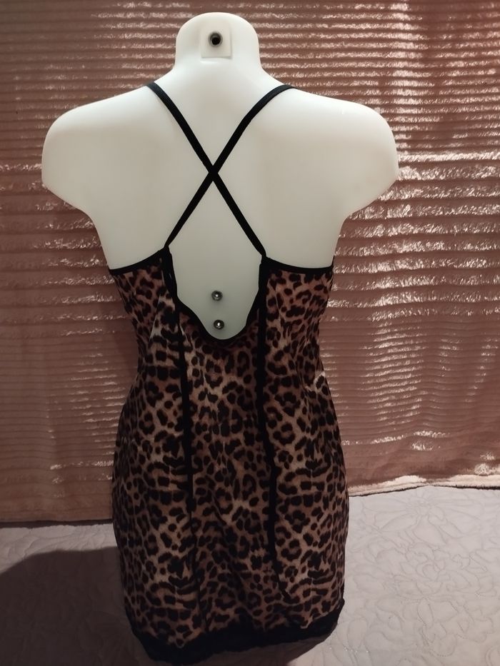 Nuisette Léopard - photo numéro 4