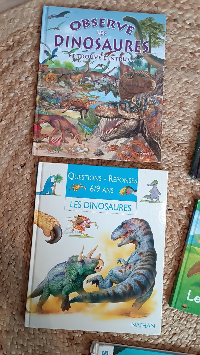 Lot de livres éducatifs sur les dinosaures - photo numéro 2