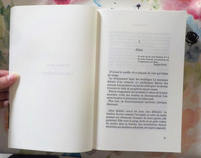 CENTRAL PARK de Guillaume MUSSO Ed. XO - photo numéro 6