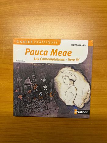 Pauca Meae Les Contemplation Victor Hugo Nathan