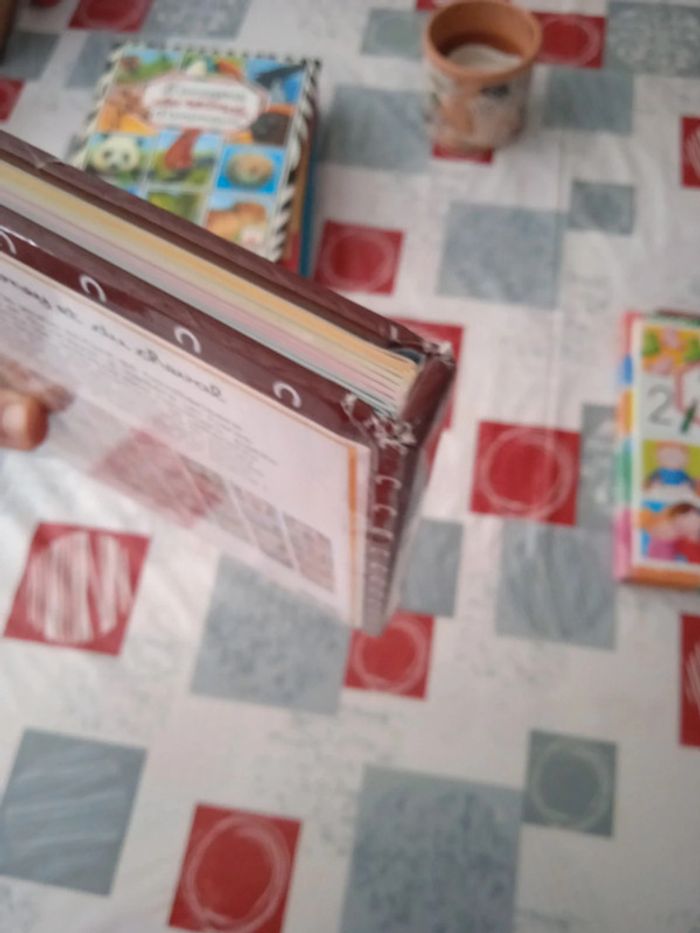 Livres l'imagerie - photo numéro 14