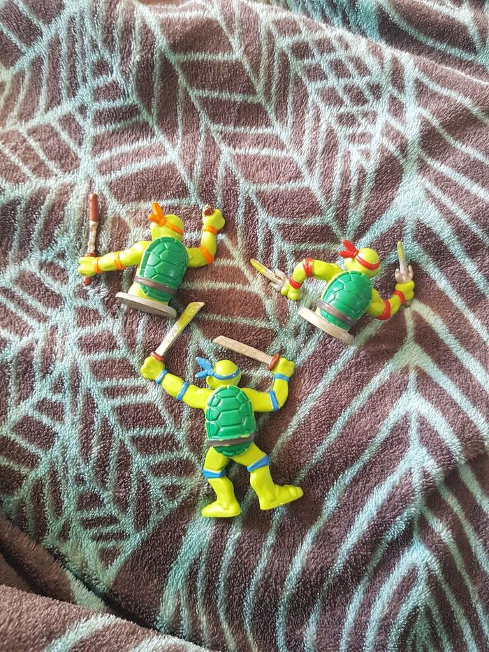 Tortue ninja - photo numéro 2