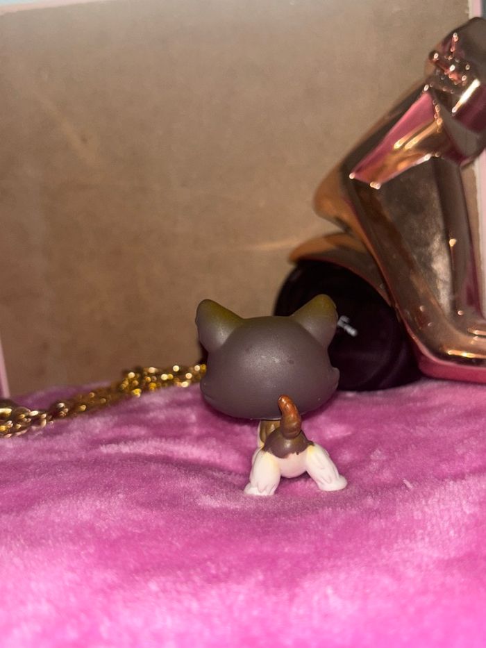 husky #174 - photo numéro 2