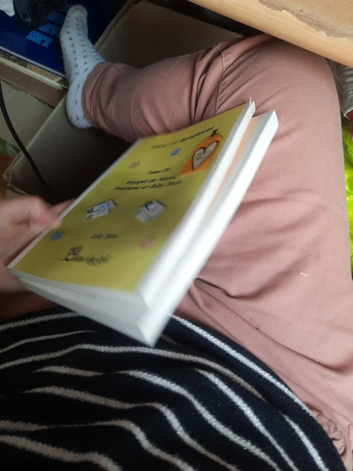 Tome il et ii livre amour et manigance p h - photo numéro 13